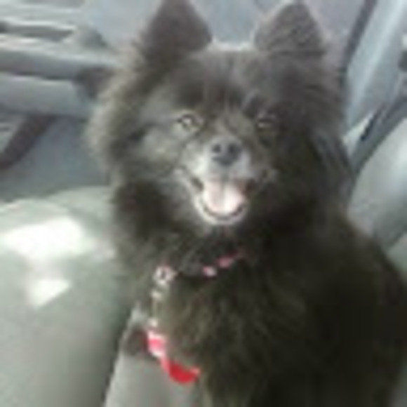 Meet your Posher, Darryl - Picture 1 of 1